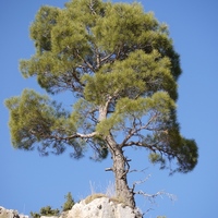 Photo de Turquie - Le Monastère d'Alahan